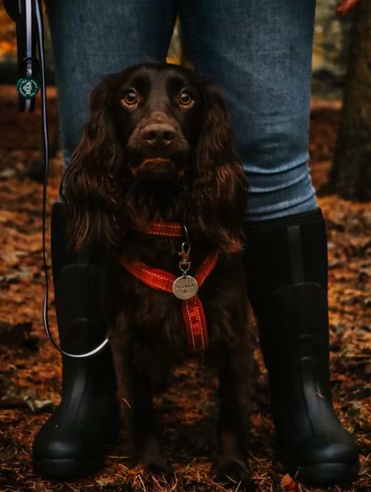 Muck boot men's muckmaster cheap high waterproof work boots