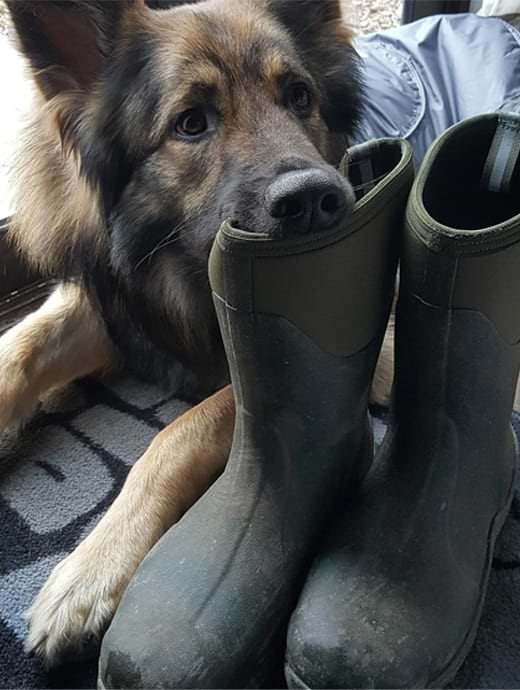 Dog muck deals boots