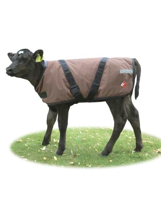 Dairy Spares Premium Calf Coat 65cm Brown 2kg 