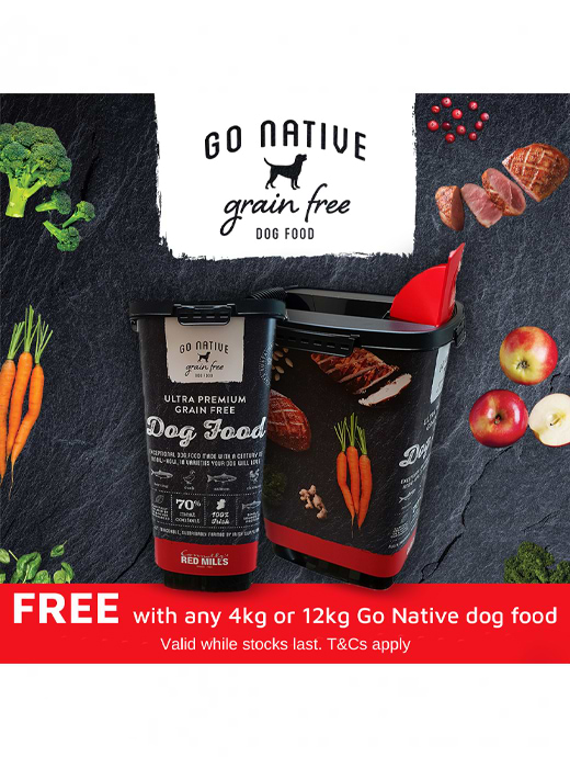 Go native grain sales free dog food