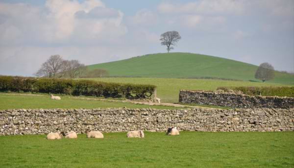 Dry Stone Walling: A Brief History