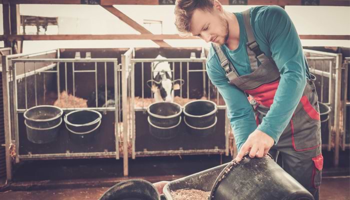 Young Farmers’ Mental Health