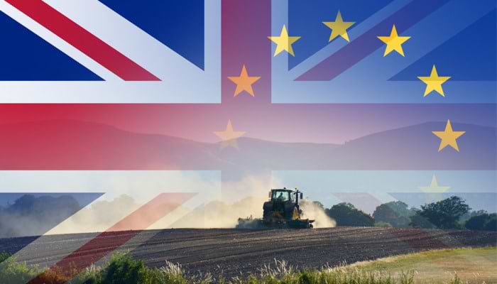 What 2021 Means for British Farming