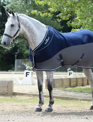 Stable & Cooler Rugs 