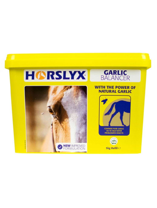 Horslyx Stable Lick Garlic 5KG