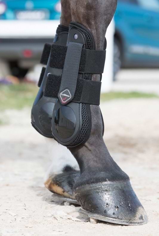 Lemieux derby 2025 projump tendon boots