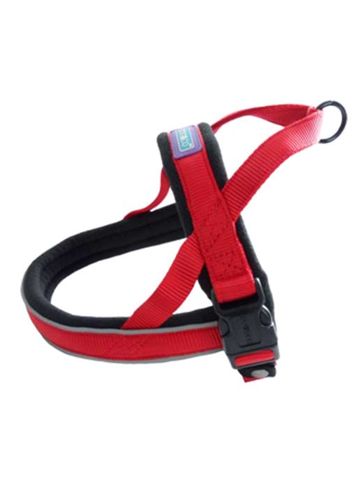 Hemmo and hotsell co dog leads