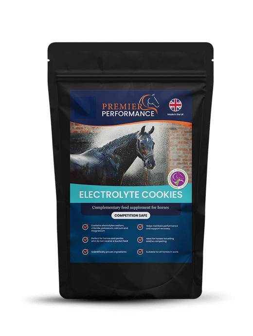 Premier Performance CZ Electrolyte Cookies 10 Pack