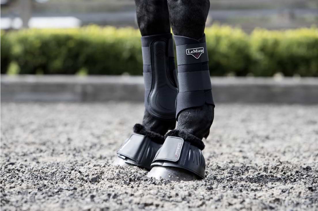 Lemieux mesh brushing boots sales