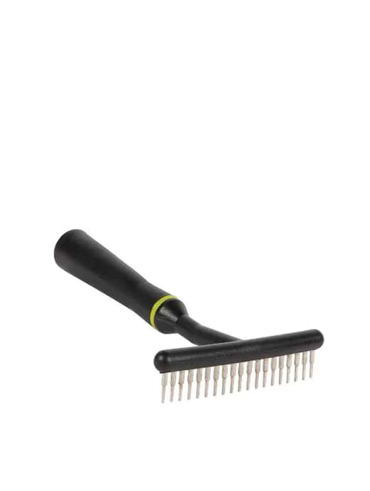 Rake au 2025