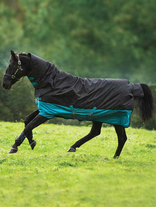 Horseware Mio All In One Turnout Medium 200g Black/Turquoise