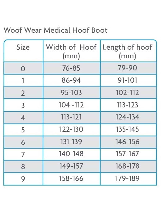 Medical hoof discount boots for horses