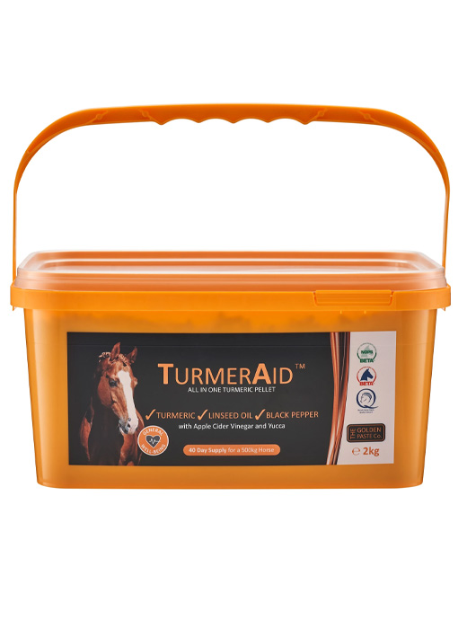 TurmerAid Complete Turmeric Pellets 2Kg