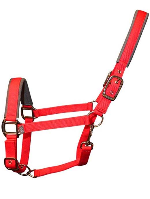 Woof Wear Contour Head Collar Royal Red 