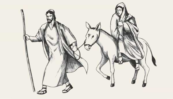 Little Donkey: Carry Mary