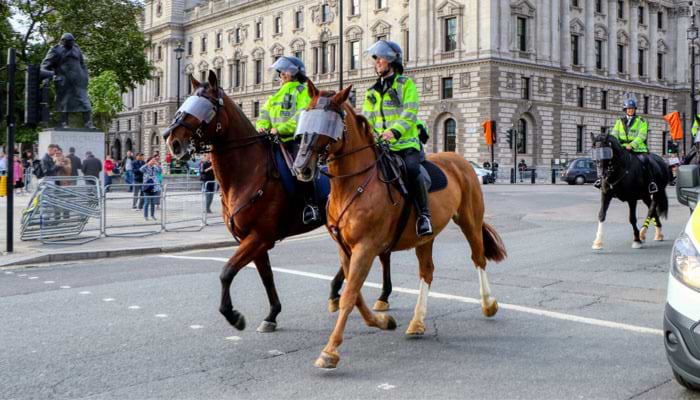 The Police Horse