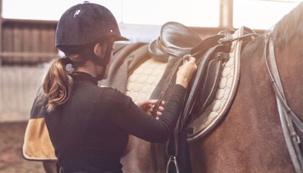How to take care of your Riding Tack