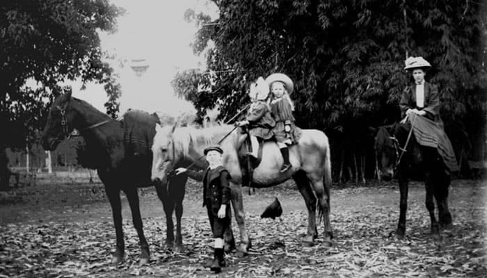 Riding hat