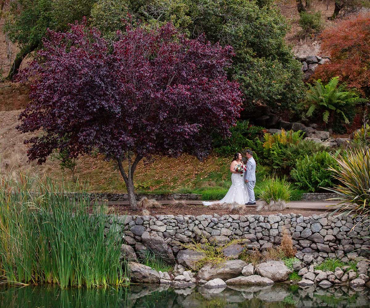 Stonetree Estate by Wedgewood Weddings - romantic photo op by the water