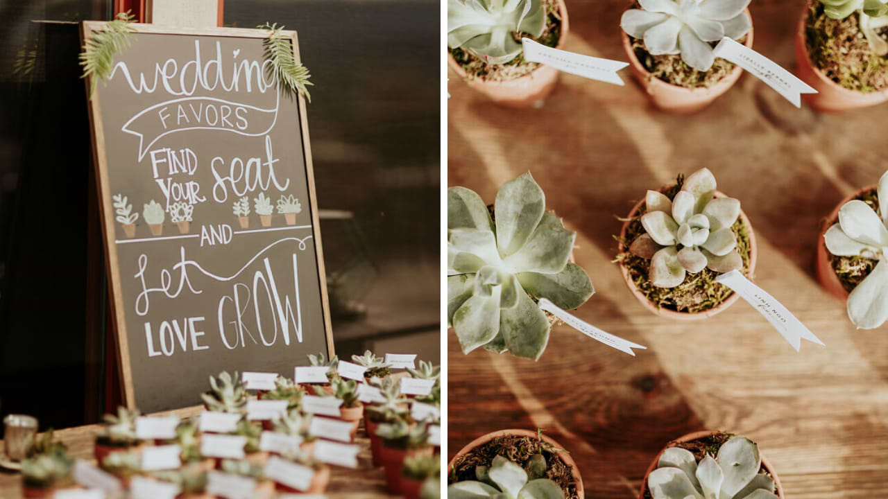 DIY succulent favors on welcome table