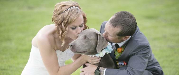 San Clemente by Wedgewood Weddings is the perfect pup playground on your wedding day