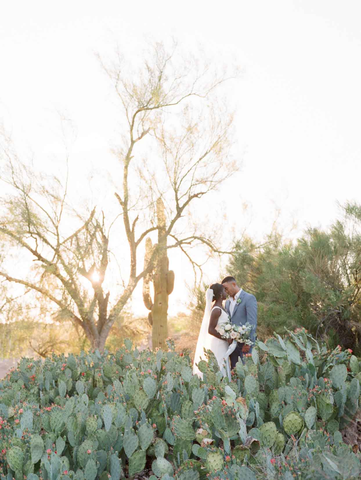 The Beautiful Newlyweds in The Cactus Garden at Palm Valley by. Wedgewood Weddings