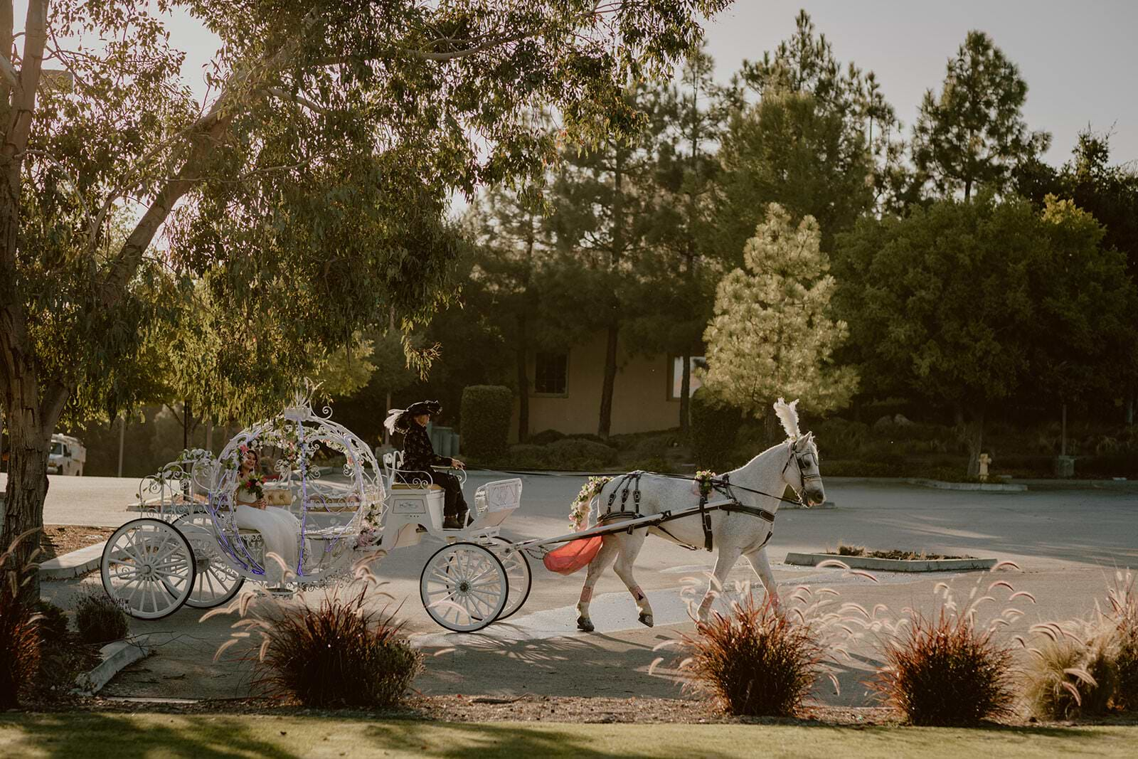 Bride arriving in horse and carriage - Vellano Estate by Wedgewood Weddings