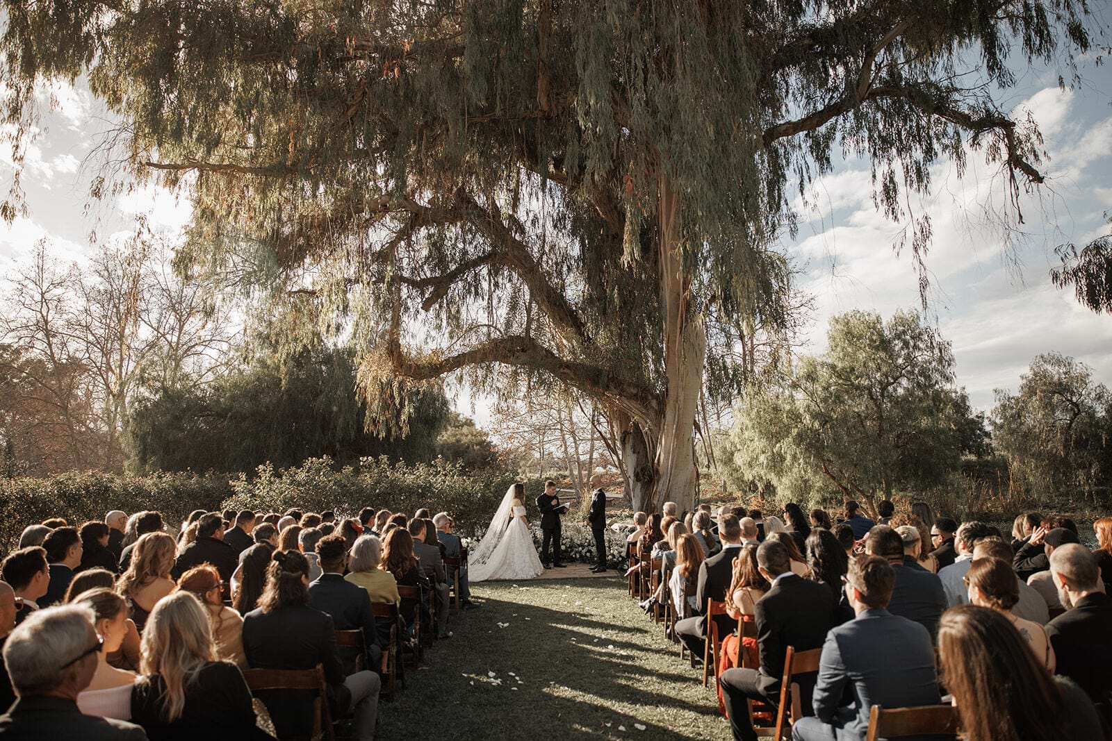 Ceremony at The Meadows - Galway Downs by Wedgewood Weddings