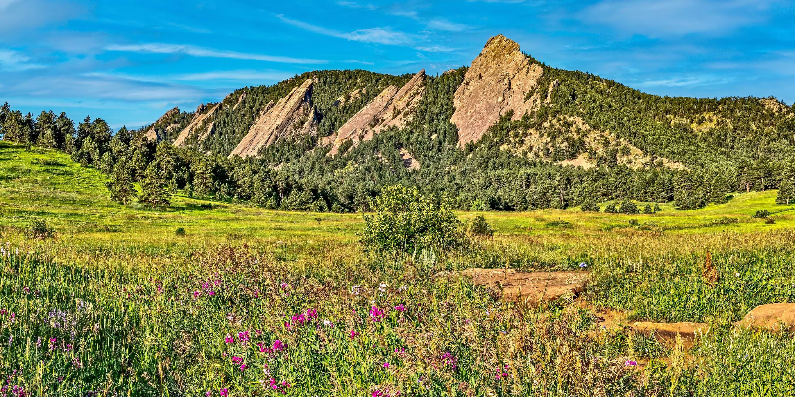 Flatirons as viewed from Chautauqua in Boulder Colorado