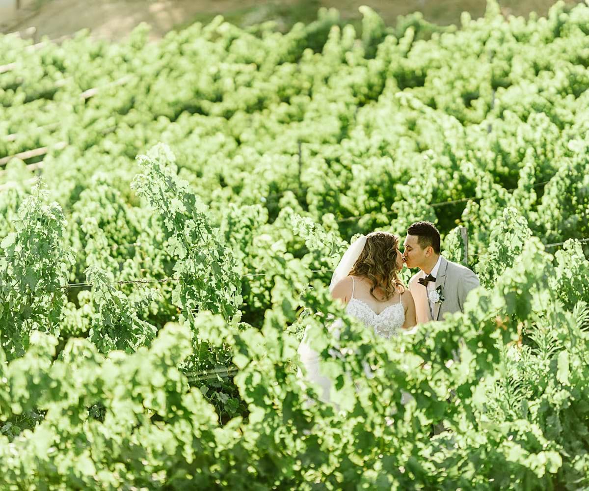 Couple in vineyard - Bel Vino Winery by Wedgewood Weddings