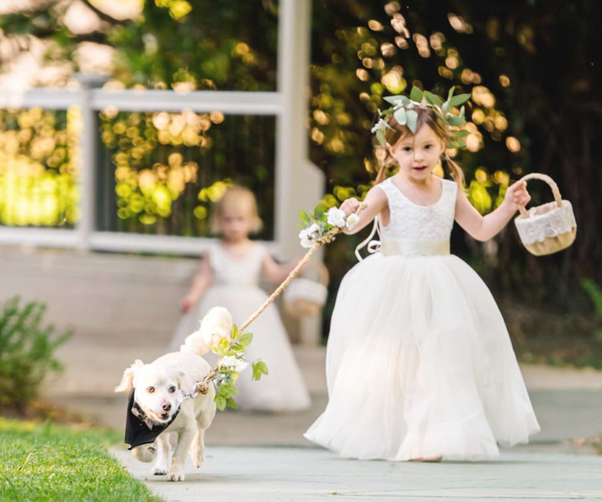 36-Redwood Canyon by Wedgewood Weddings Walkway-Bridge-FlowerGirl_Dog