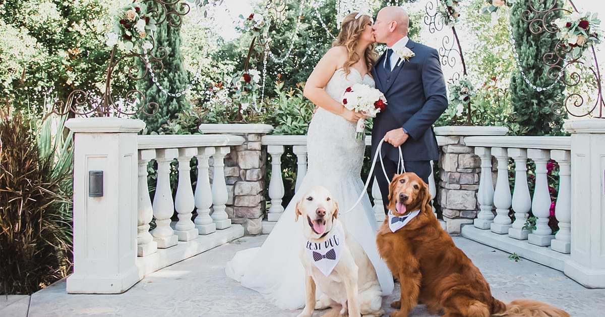 Bride and Groom with their dogs at Vellano Estate by Wedgewood Weddings