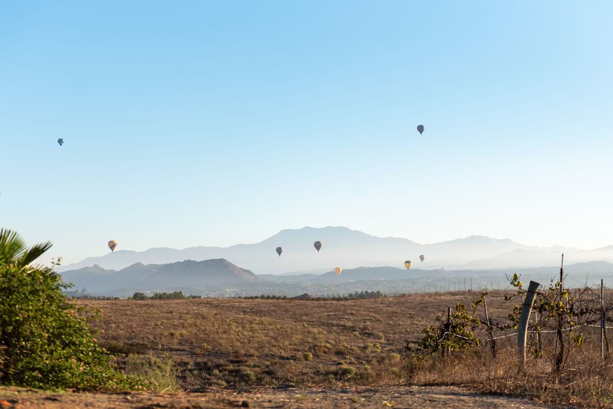 Hot Air Balloon Rides in Temecula, California