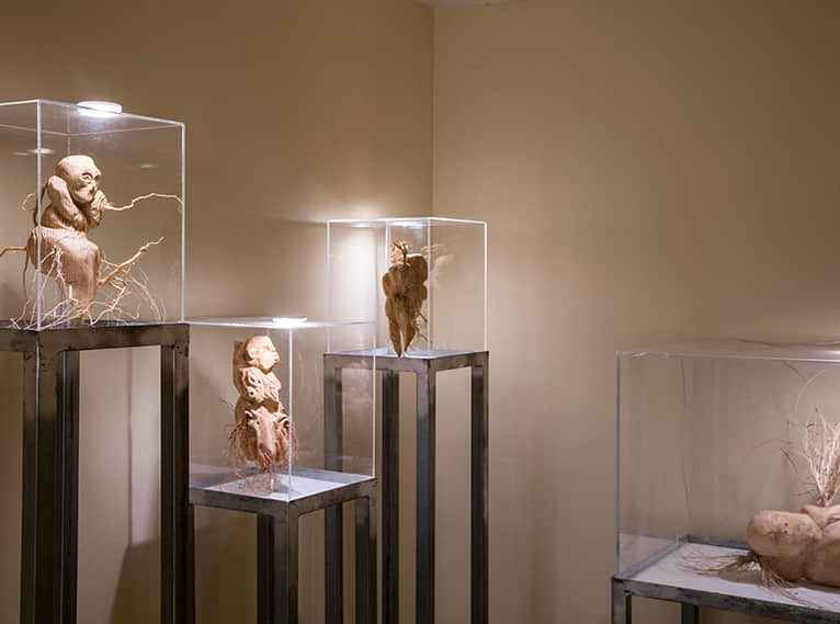 Carmel Forest – Triangle - Треугольник