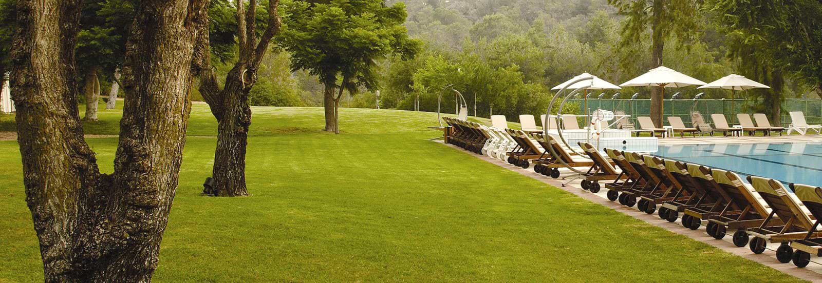 מבצעי מאי באחוזת הבריאות יערות הכרמל