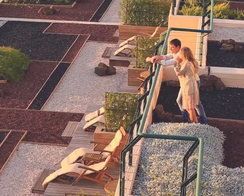 Carmel Forest Spa Resort