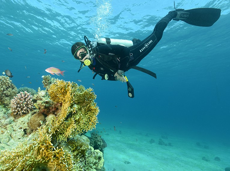 Manta Isrotel Diving Center