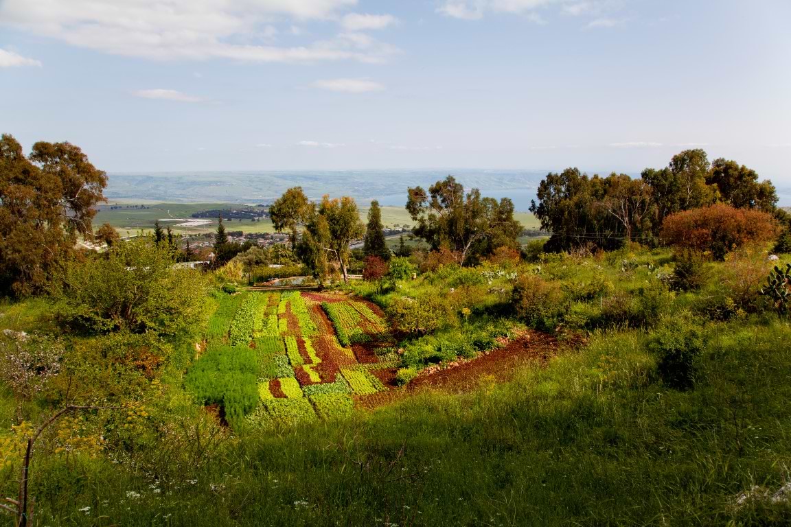 Mitzpe Hayamim Hotel