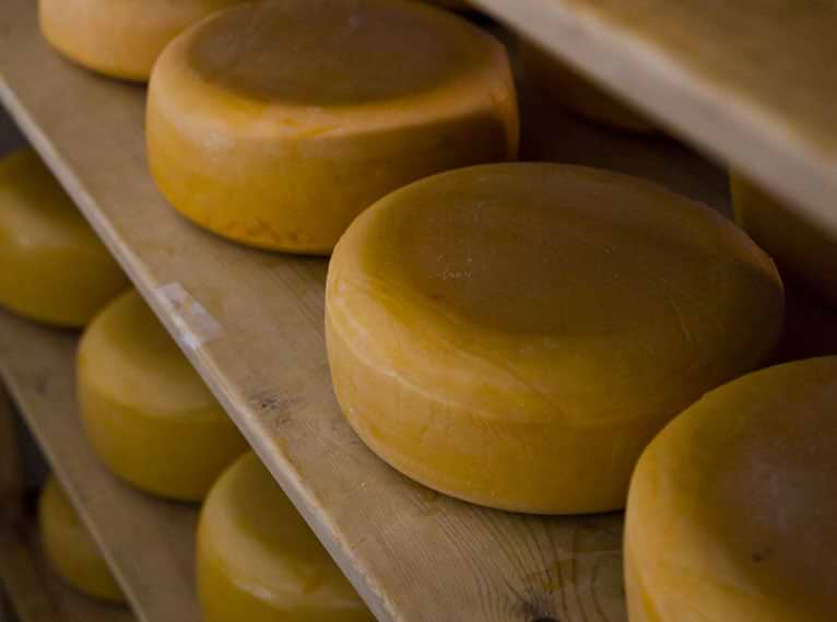 Mitzpe Hayamim Hotel