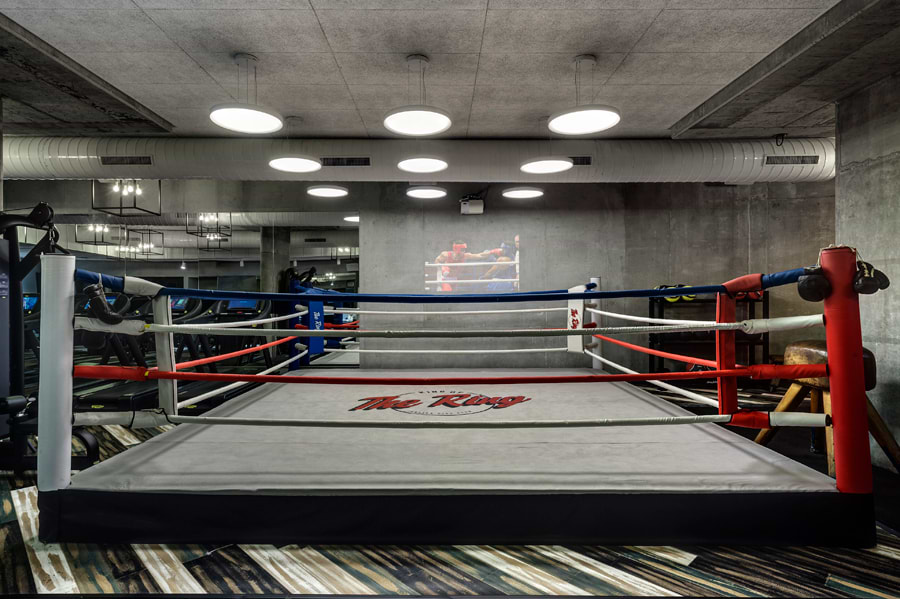 פאבליקה הרצליה