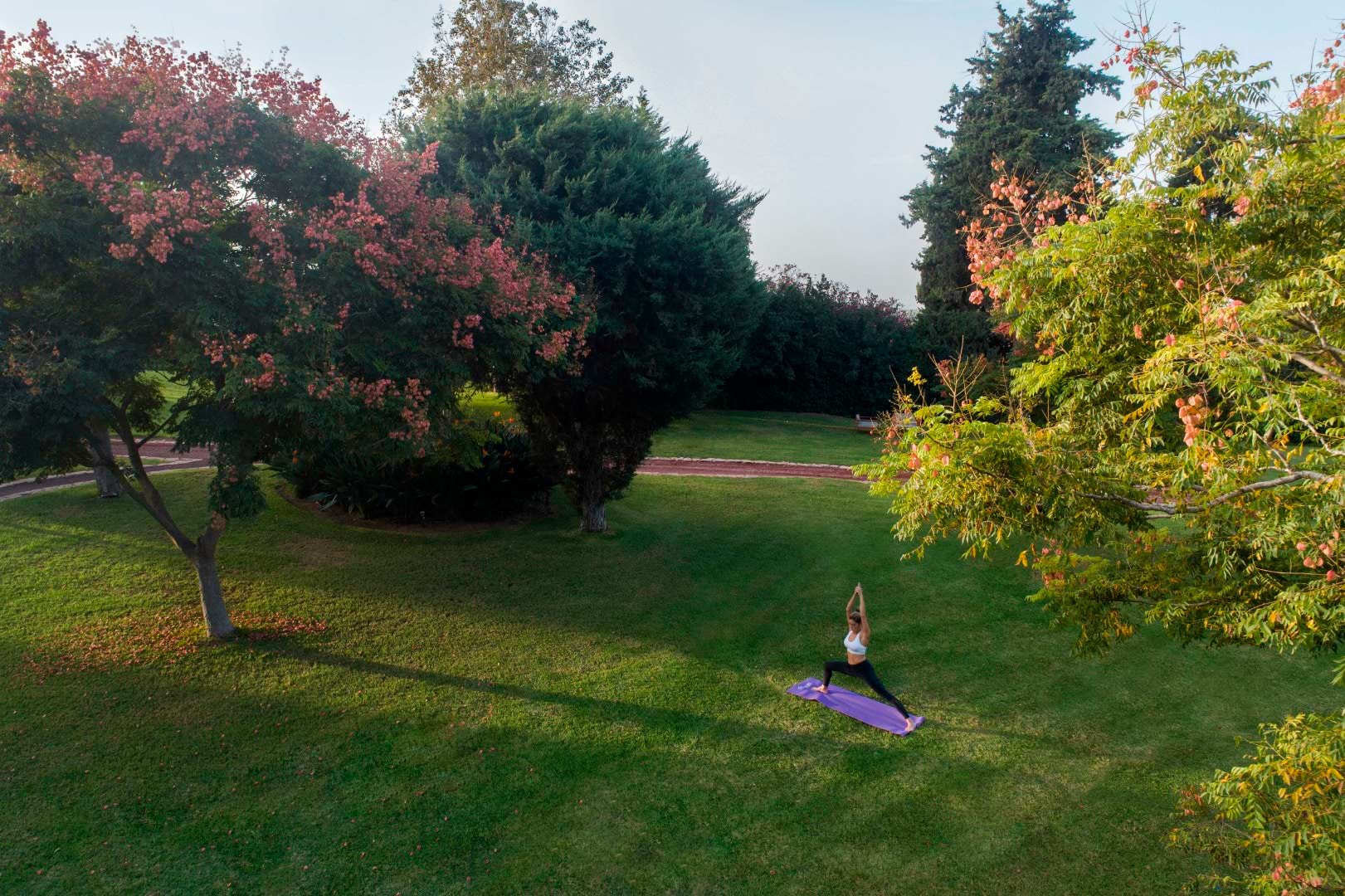 Carmel Forest Spa Resort