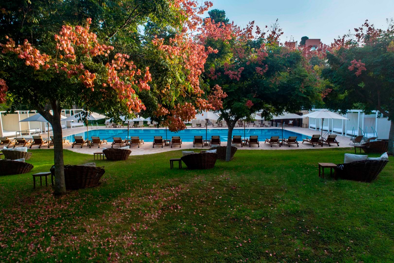 Carmel Forest Spa Resort