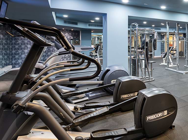 פעילות ספורטיבית