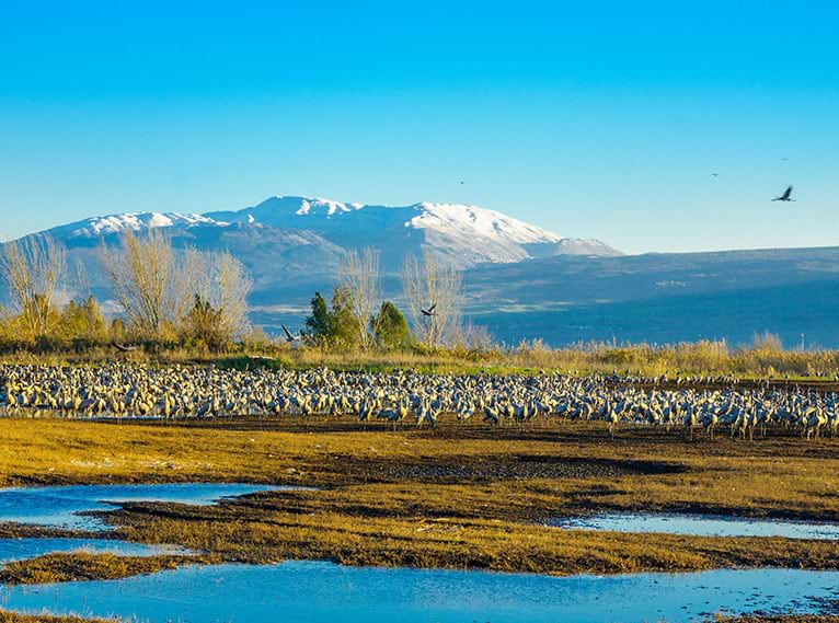 Excursions Near the Mitzpe Hayamim Hotel