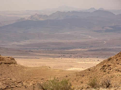 טיולי ג'יפים במדבר