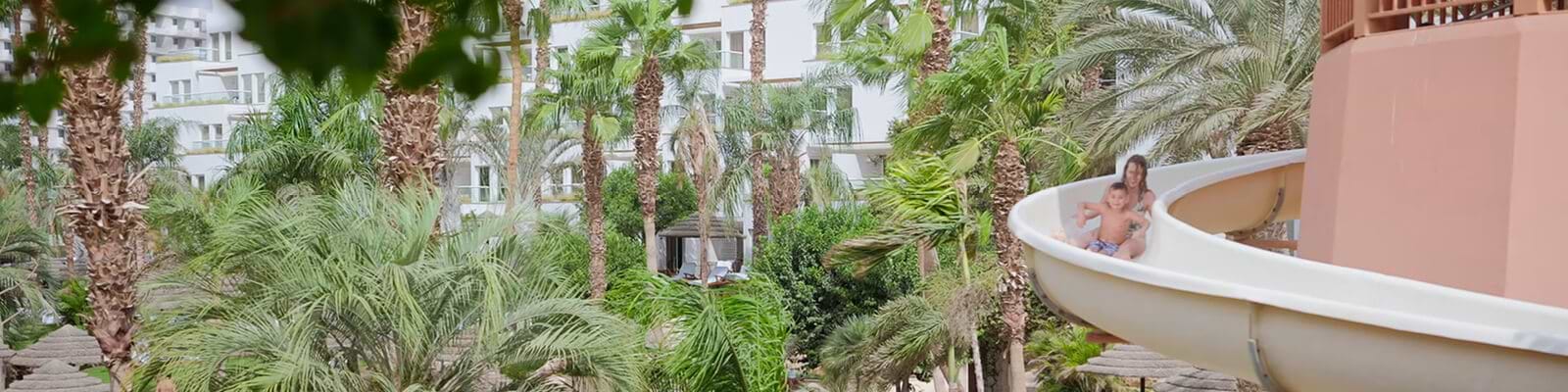 מהירי החלטה