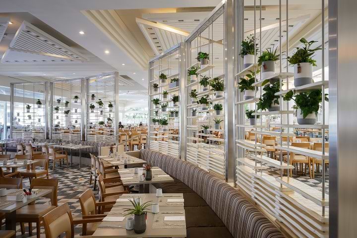 כסאות בחדר האוכל מלון ים סוף