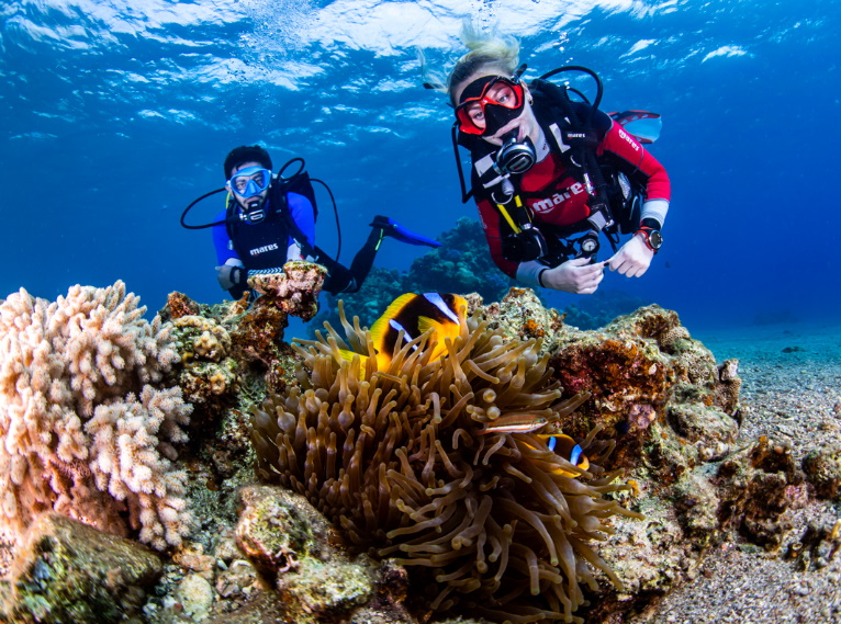'מנטה' מרכז צלילה ישרוטל