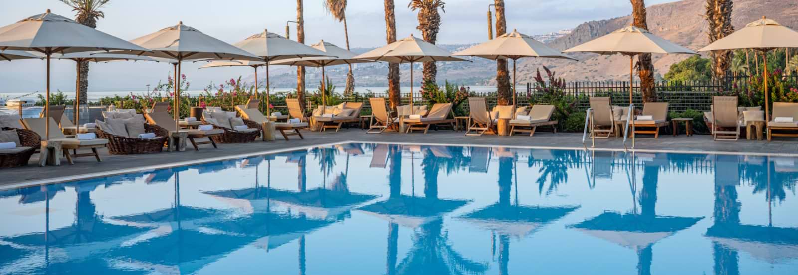 פרופיל החברה