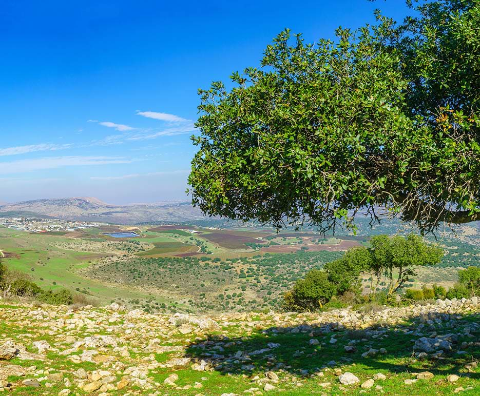 Northern Israel